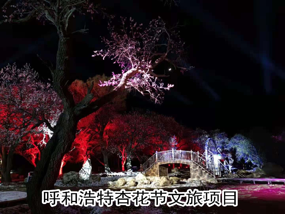 呼和浩特杏花节文旅项目
