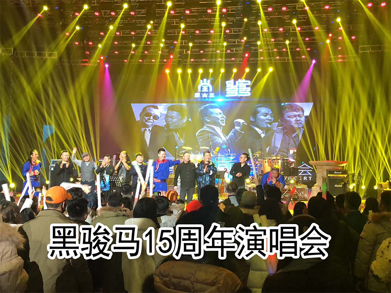 黑骏马15周年演唱会